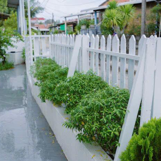 CÔNG TRÌNH SEA CUB HOMESTAY - CÙ LAO MÁI NHÀ - XÃ Ô LOAN - ĐẮK LẮK