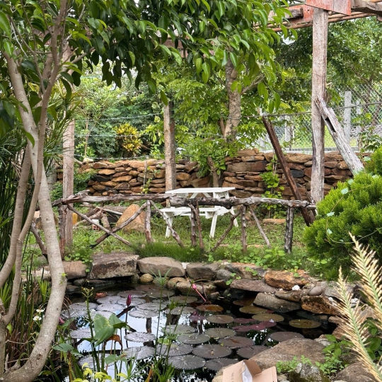 CÔNG TRÌNH HILL CUB HOMESTAY - CAO NGUYÊN VÂN HÀ - ĐẮK LẮK