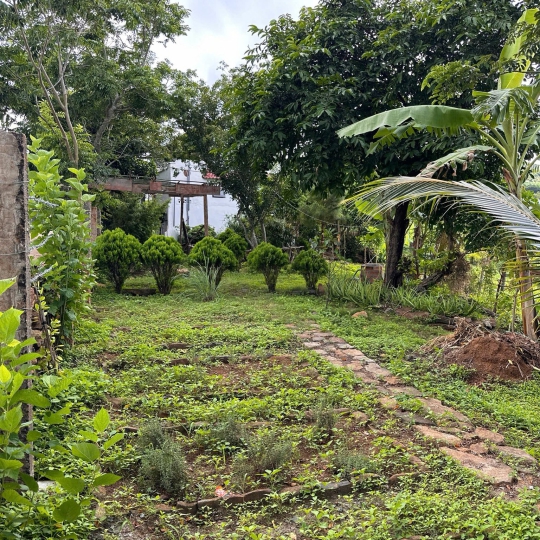 CÔNG TRÌNH HILL CUB HOMESTAY - CAO NGUYÊN VÂN HÀ - ĐẮK LẮK