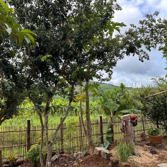 CÔNG TRÌNH HILL CUB HOMESTAY - CAO NGUYÊN VÂN HÀ - ĐẮK LẮK