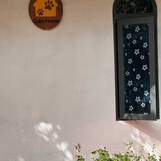 CÔNG TRÌNH HILL CUB HOMESTAY - CAO NGUYÊN VÂN HÀ - ĐẮK LẮK